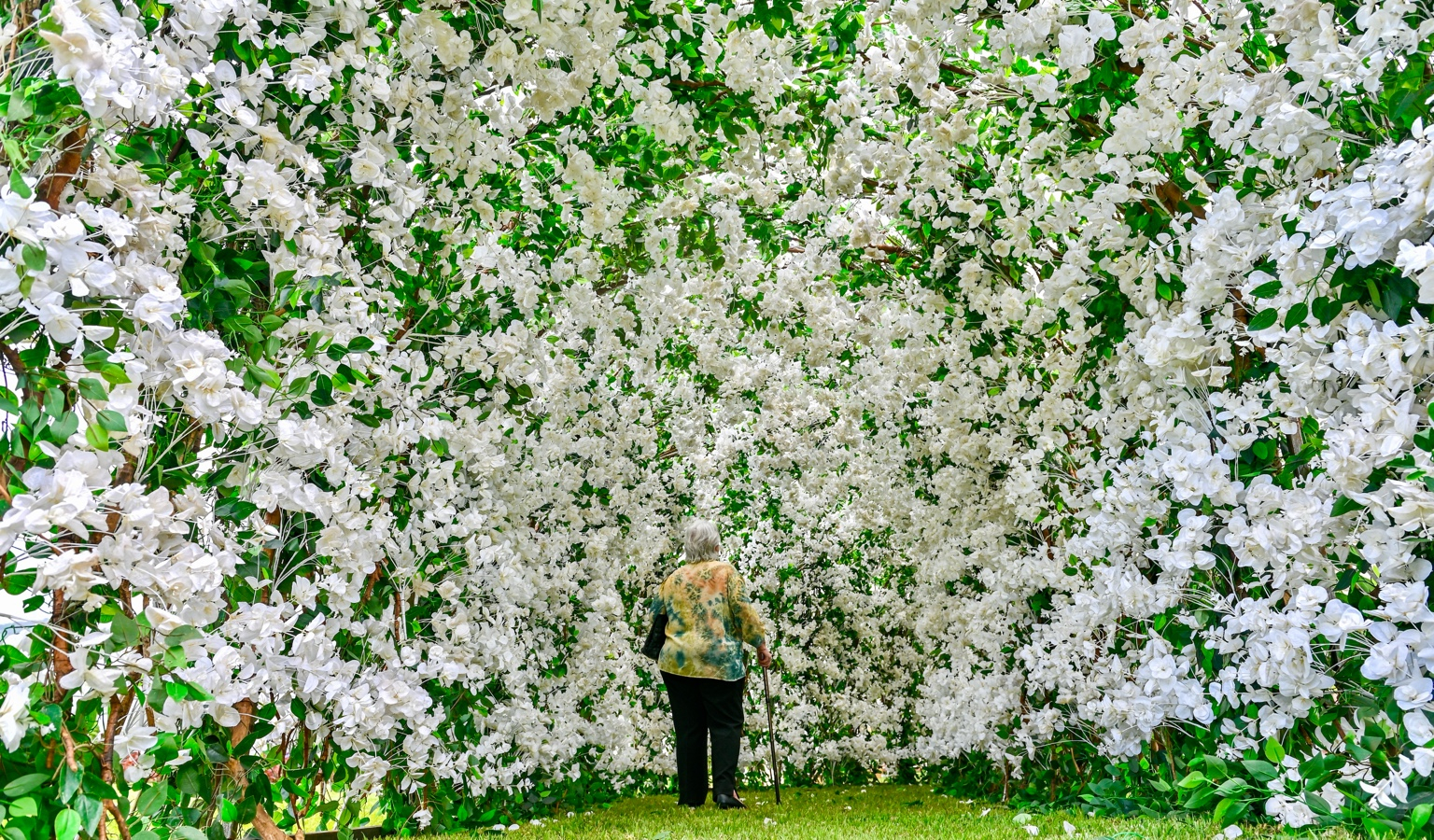 Finados com Arte 2025: fé, arte e um tributo pela paz no Jardim da Saudade